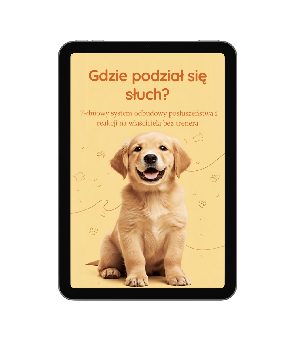 E-book "Gdzie podział się słuch?"