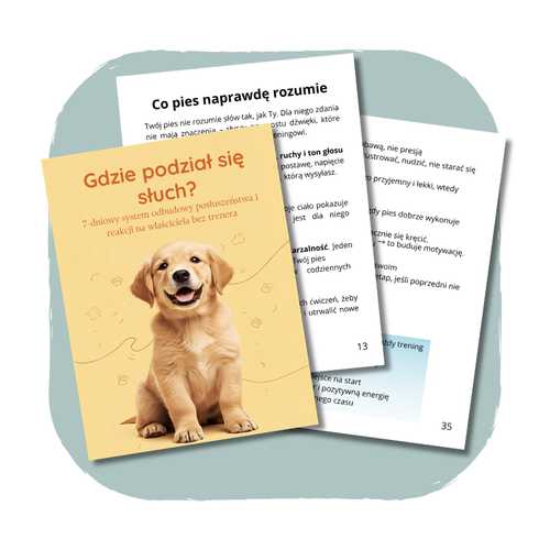 E-book "Gdzie podział się słuch?"